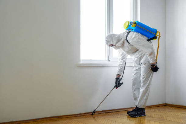 Emergency Pest Control in Vermillion, SD